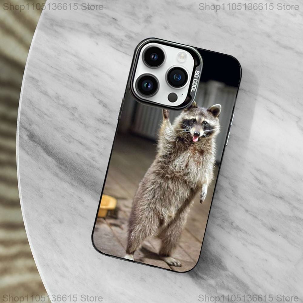 Raccoon Cute Animal Phone Case For iPhone 11,12,13,16,14,15,Mini,Pro,XS,MAX Black Matte Shockproof Cover