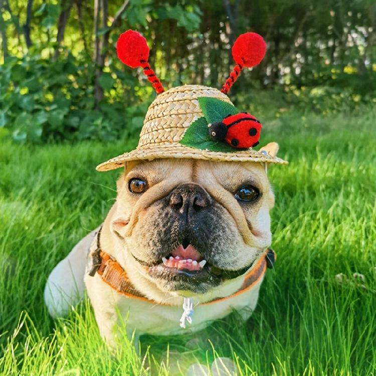 Fashion Pet Woven Straw Hat Cats Beach Parties Straw Hat Dogs Costume Hat for Small Dog Puppy Cats Accessories