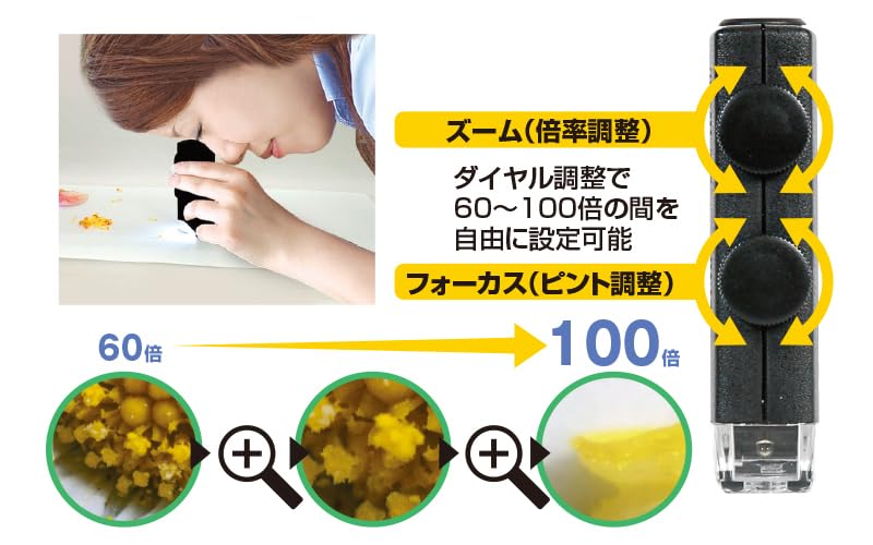 Shinwa Sokutei Loupe H Pocket Microscope with LED Light 75753 60-100x