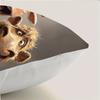 1/4pcs Funny Farm Animal Printed Pillowcases Sofa cushion cover home bedroom room decoration