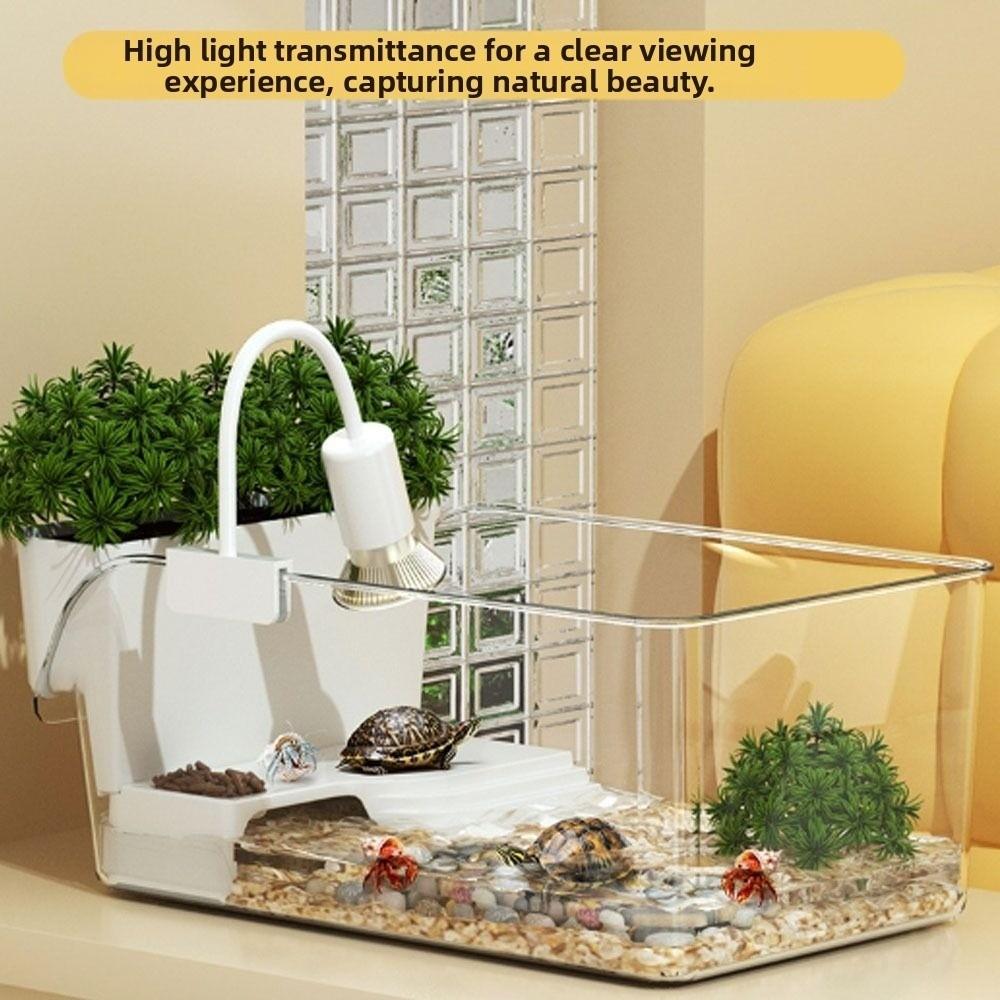 Transparent Turtle Tank Reptile Terrarium Habitat  for Pet Turtles Hermit Crabs Tortoise Adoption