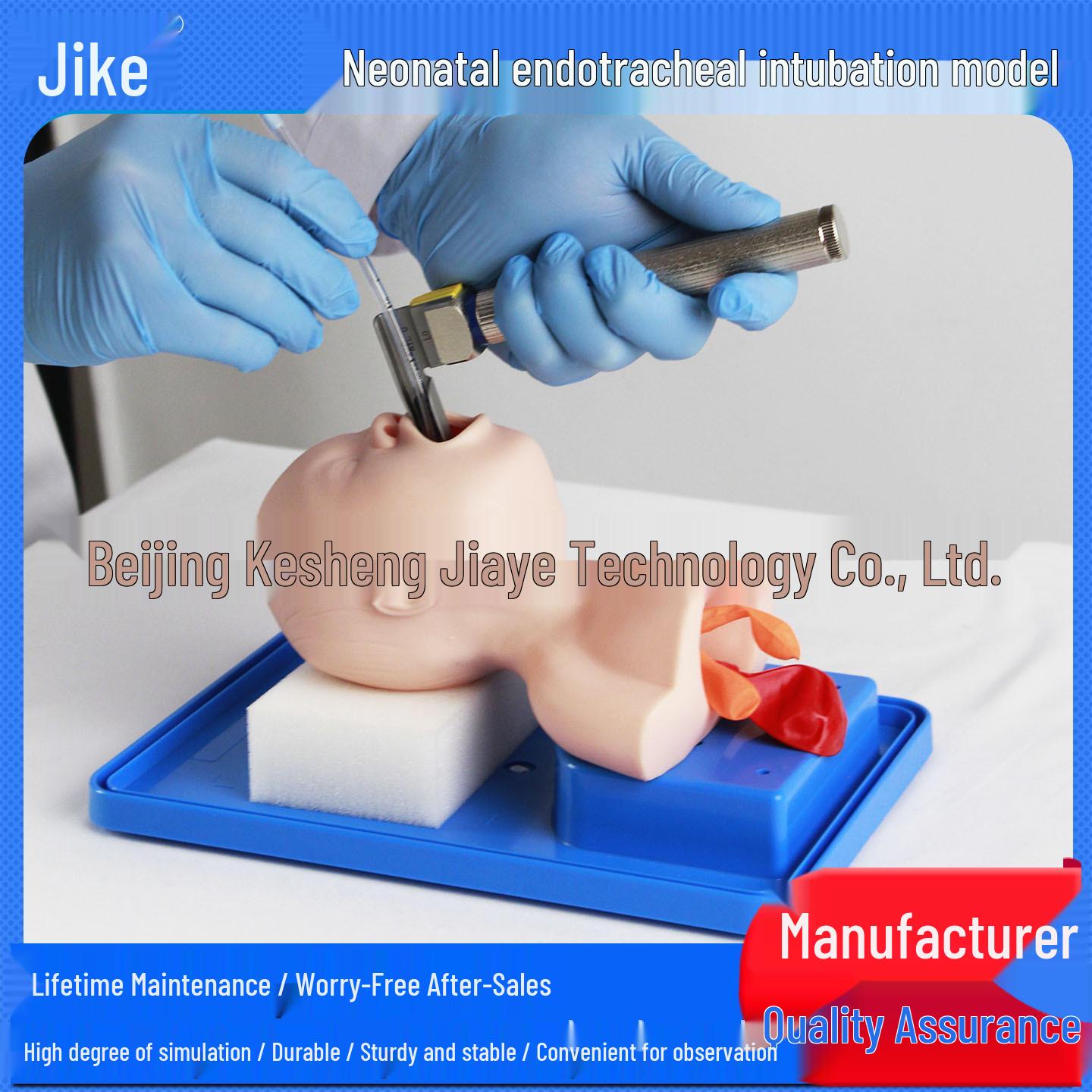 Neonate Tracheal Intubation Training Manikin for Medical Simulation Display