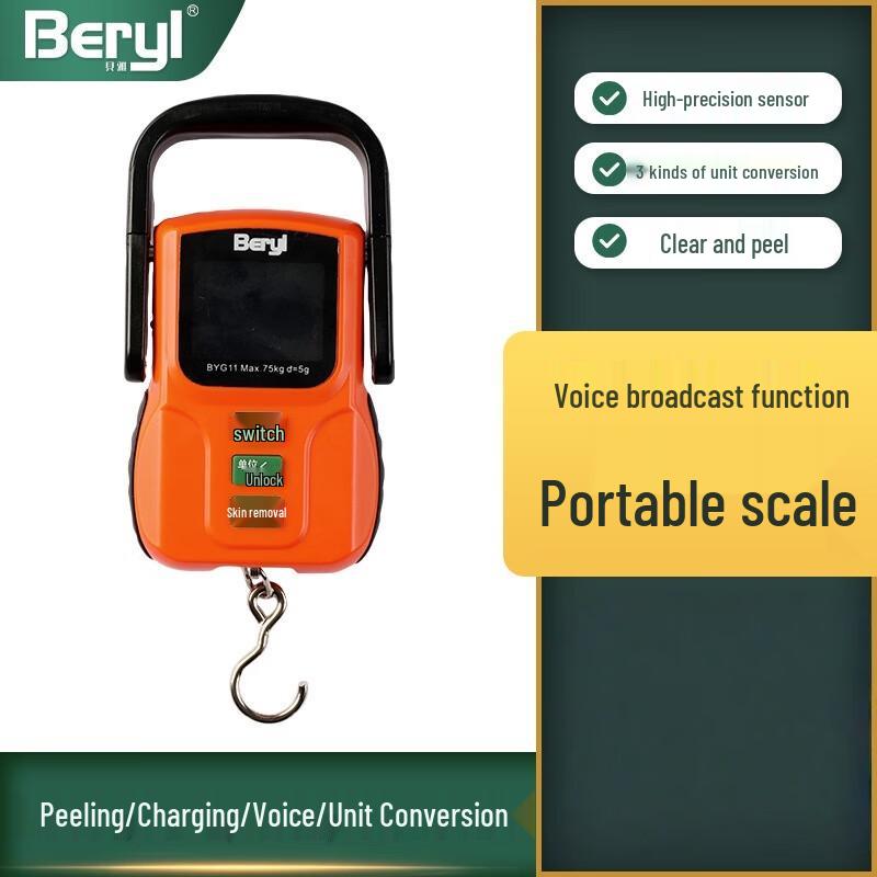BERYL Portable Digital Handheld Scale