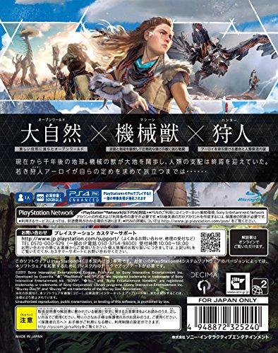 Horizon Zero Dawn Standard Edition - PS4