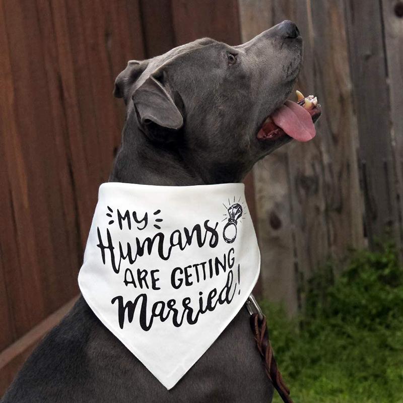 I miei Umani si Sposano Bandana per Cane Sciarpa per Animali Annuncio di Matrimonio Fidanzamento Decorazione per Bridal Shower Regalo per Servizio Fotografico