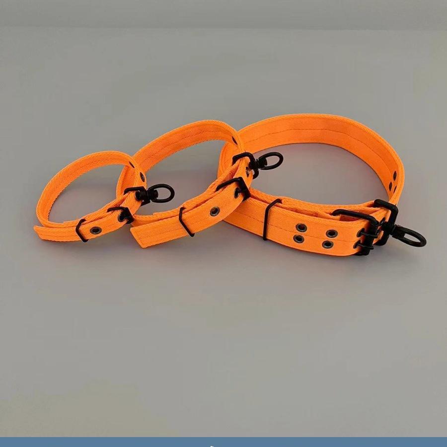 

Dog Collar for Large, Medium, and Small Breeds - Ideal for German Shepherds, Malinois, Golden Retrievers; Includes Leash and Neck Ring. Small Single Buckle [up to 15 lbs]
