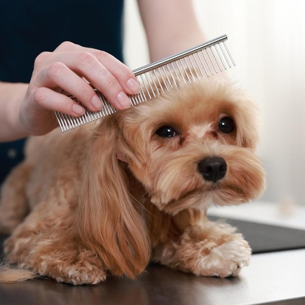 Dog Comb Metal Hair Removal Comb for Cat Dematting Cleaning Brush with Rounded Teeth for Puppy Kitten Short Long Shedding Care