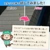 StayGold Japan Sponge, Curious Sugopika, Car Wash, Scale Removal, Scaler, , Car, Glass, Scale, , Mirror, Sink, Film