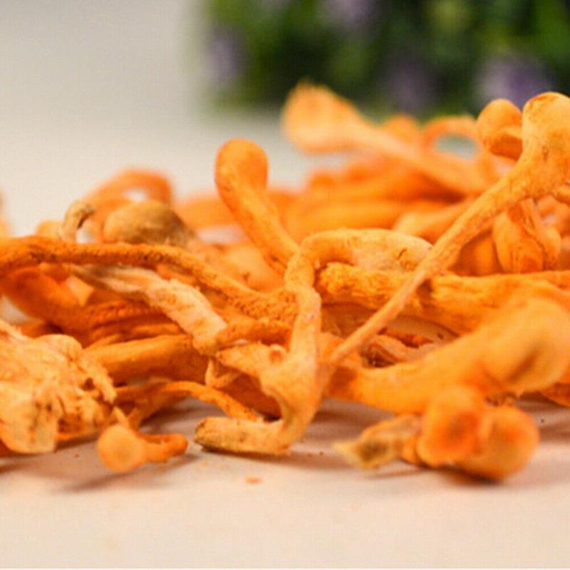 Cordyceps Militaris w proszku Organiczny grzyb bogaty w aminokwasy białkowe, ziołowy