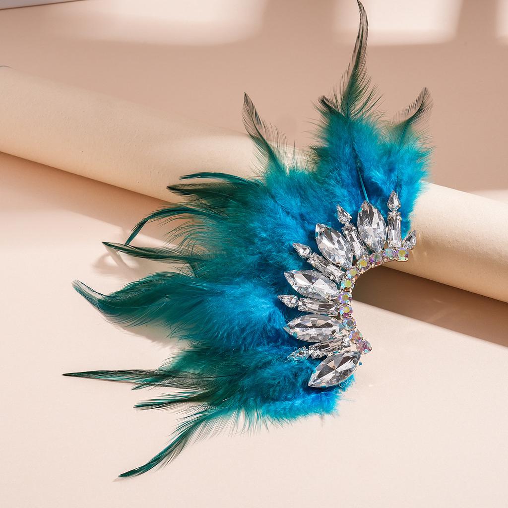 Orecchini a Frange di Piume con Diamanti Colorati Lusso Leggero Borchie di Alta Gamma Orecchini di Nicchia Retrò Autunno e Inverno Donna