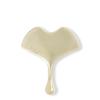 Ginkgo Guasha (Gua Sha)