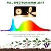 SINJIAlight 2-Head LED Grow Light with Stand, Indoor Grow Light with Timer Function (4H/8H/12H), 4 Dimming Levels, Adjustable Height, Energy-Saving, L