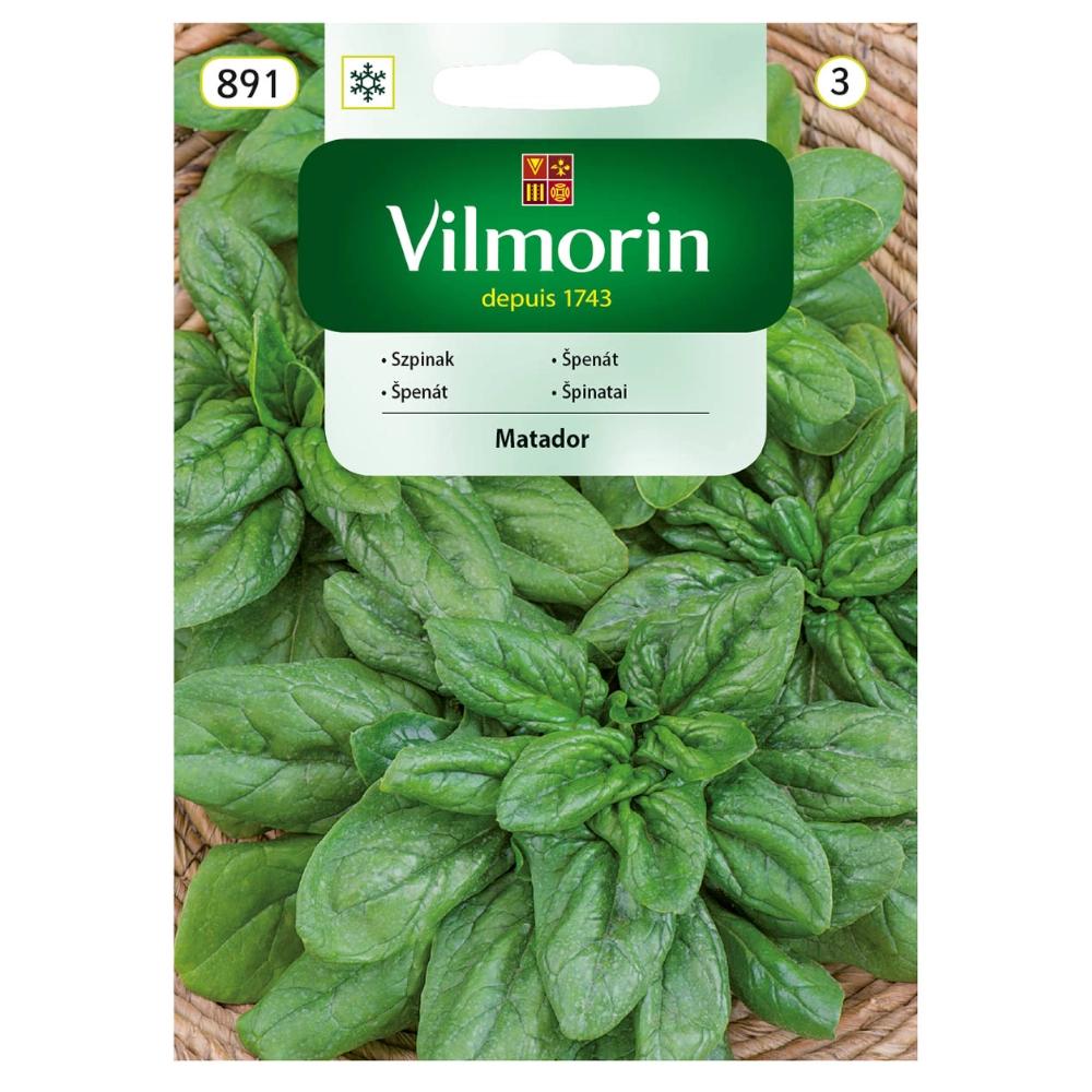 זרעי מטדור תרד 20 גרם - VILMORIN