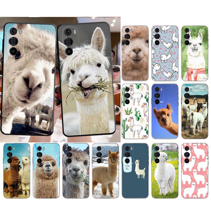Lama Alpacas Animal Phone Case For Motorola Edge 60 50 40 Pro 60 50 40 30 Ultra Neo Fusion Moto G Play G Stylus G Carcasas
