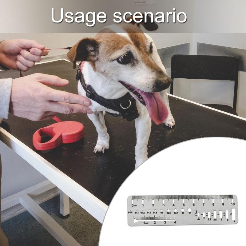 Surgical Stainless Steel Measuring Tool With Gradations for Animal Orthopedics Screw and Pin Size