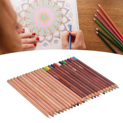 Weiche Pastellstifte 24 Farben Lebendiges Zeichenstift-Set Professionelle Pastelle Kunstbedarf zum Skizzieren und Malen