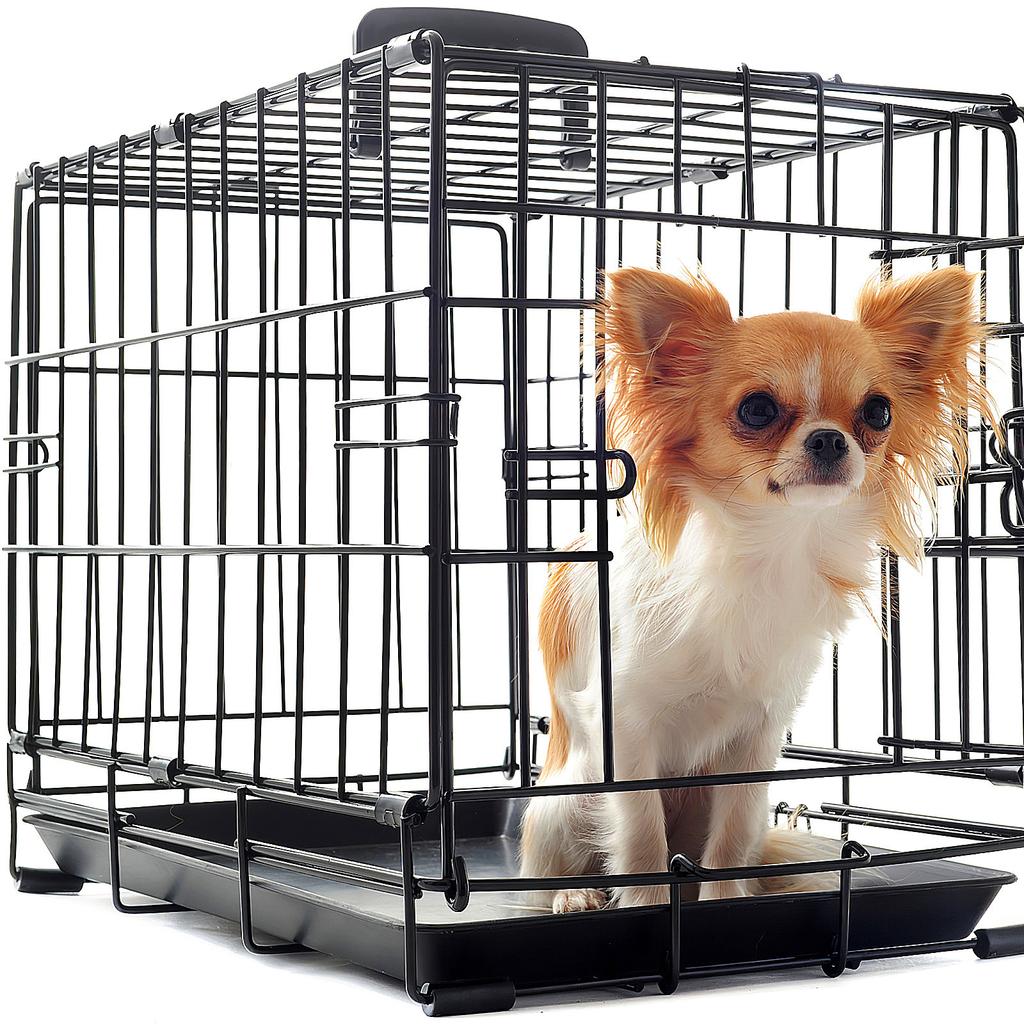 2 Pezzi Vassoio Inferiore Gabbia per Uccelli Robusto Facile da Pulire Resistente alle Macchie Contenitore per Escrementi per Pappagallino Vassoio WC Cane Vassoio Sostituzione Gabbia