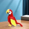 Adorable Parrot Plush Toy Accompany Ornament Home Decors Realistic Stuffed Animals Macaw