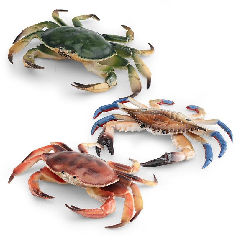 Simulated Marine Animal Crab Model, Children'S Cognition Three-Eye Crab Swimming Crab Bread Crab Ornament Toy