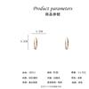 Earrings Silver Needles Fashion Frigid Wind ins Earrings Women's Exaggerated Atmospheric Earrings Large Circles Circles