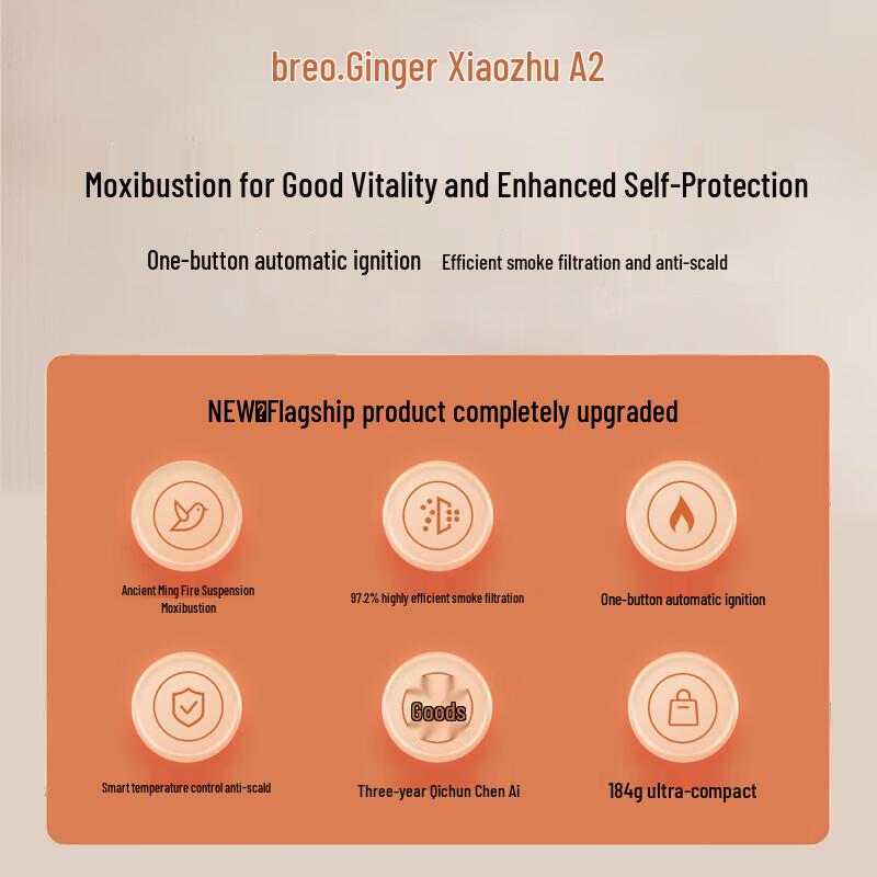 Breo Ginger Bamboo A2 Standard Portable Electronic Moxibustion Box