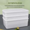 Ally Large Ice Cube Mold & Food Storage Container