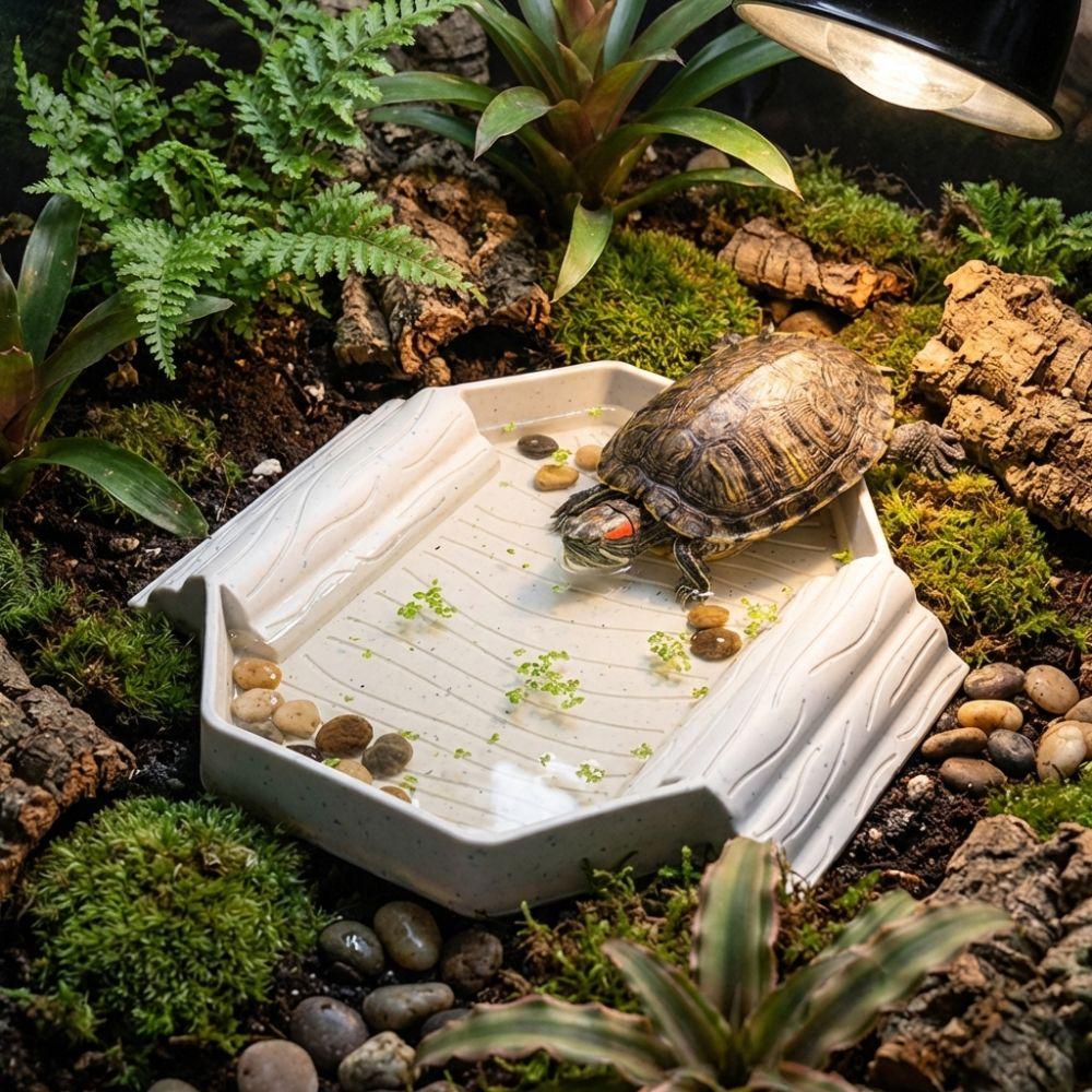 With Ramp Turtle Bath Basin Plastic Reptile Pool Dish Turtle Bath Tub  Habitat Accessories