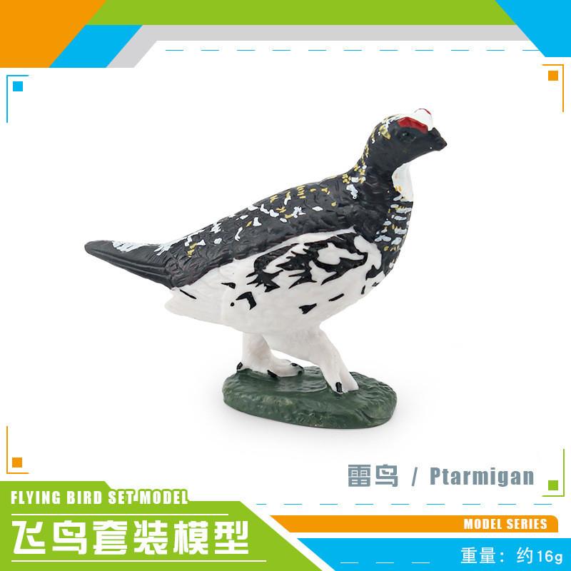 Exquisite Realistic Bird Models In Pvc Material Showcasing Colorful Parrots Owls And Songbirds