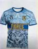 Sports Polo Shirt: TIGRES Mexico Team Tiger Graphic Design