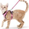 Escape Proof Cat Harness and Leash - Soft Adjustable Vest Harnesses EasyControl for Walking Cats MXQQY01