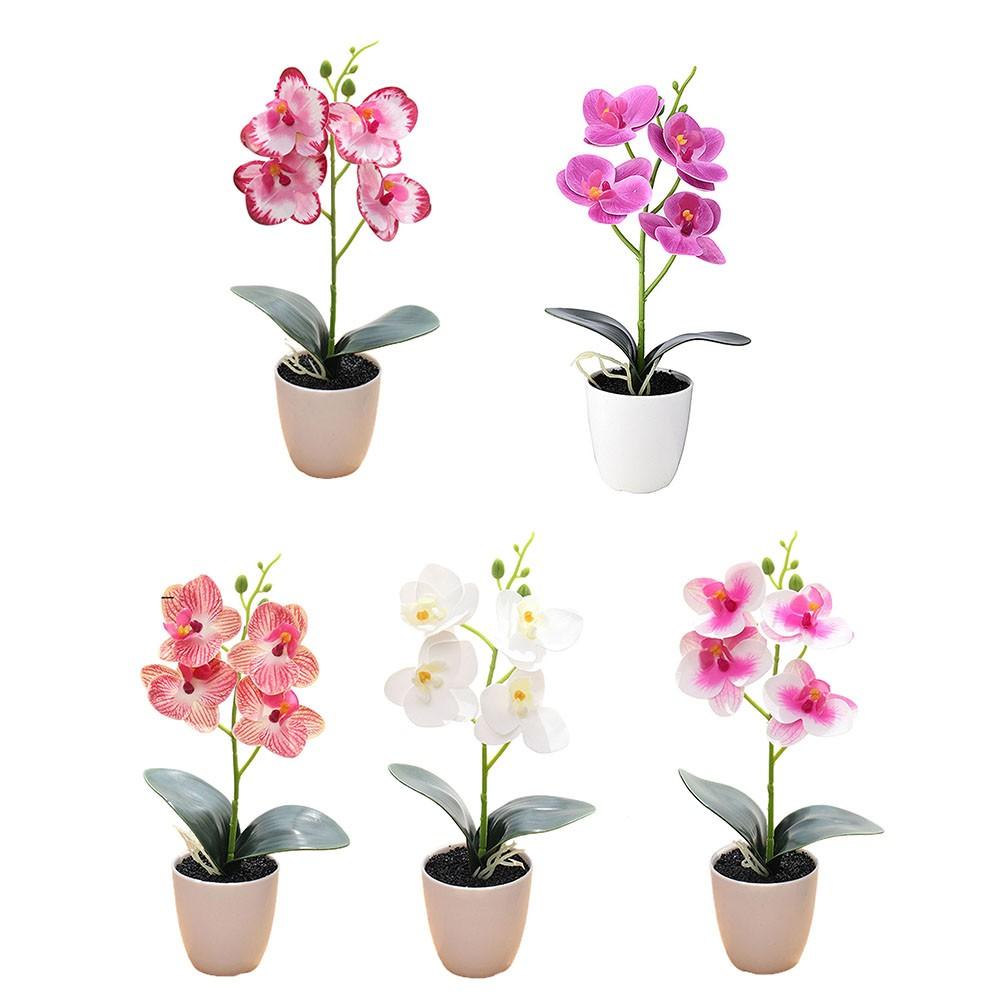 

ABS Material Artificial Orchid Rose White Plus Rose E