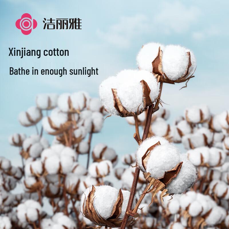 Grace Damska jednorazowa bawełniana bielizna (5-Pack)