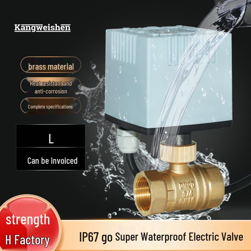 Waterproof Pure Copper Electric Two-Way Valve for Outdoor HVAC Systems