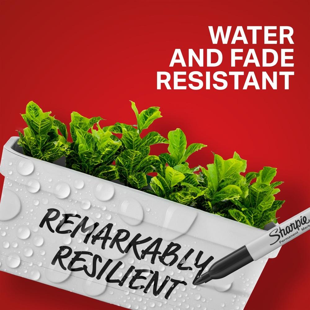 Permanent Markers Variety Pack Multi-Tip Fine Ultra Fine Chisel Tip Black Waterproof Fade Resistant 6 Count Quick Drying