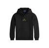 Толстовка Polo Ralph Lauren 710981781001