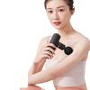Professional Mini Deep Tissue Massage Gun