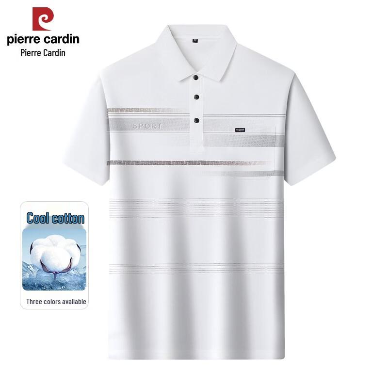 Pierre Cardin Men s Striped Polo Shirt 185