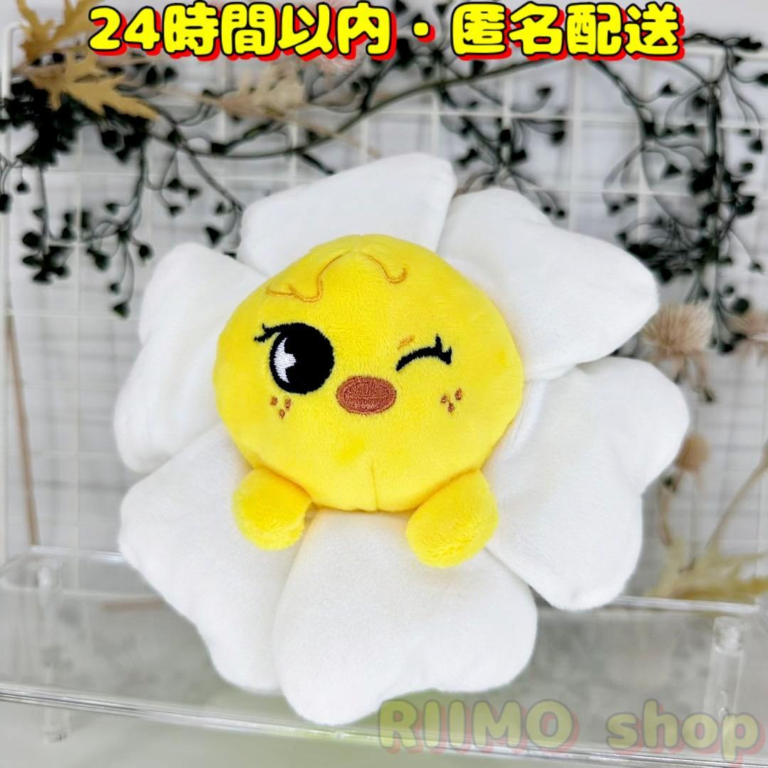 

[Б/У] Пенал SKZOO цветок Феликс Погари