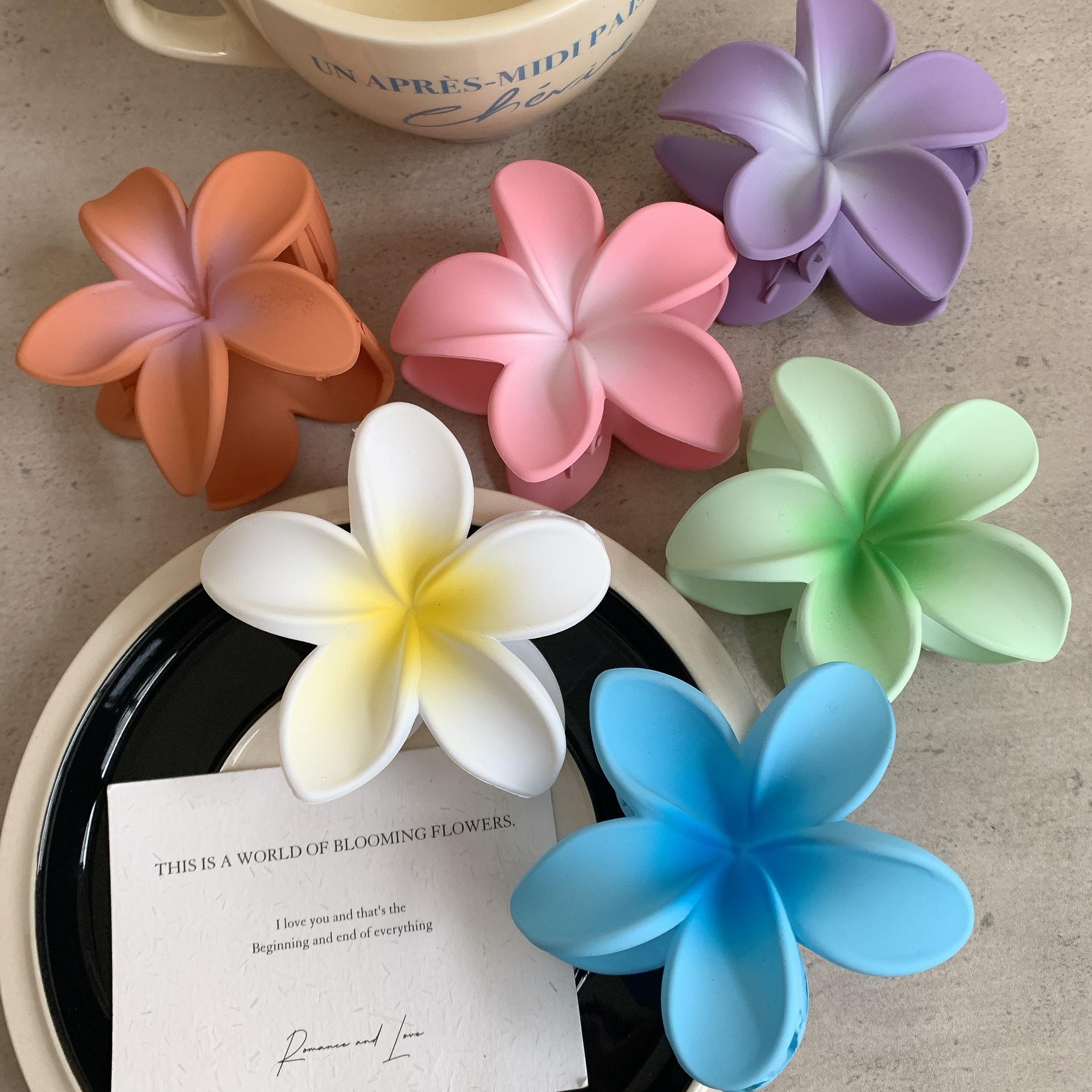 Frosted Egg Flower Clip, Fashion Claw for Women, Summer Beach Hair Accessory, Ponytail Barrette United States ирис