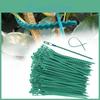 Plastic Plant Support 50100pcs Reusable Clips Clamps Plants Hanging Vine Garden