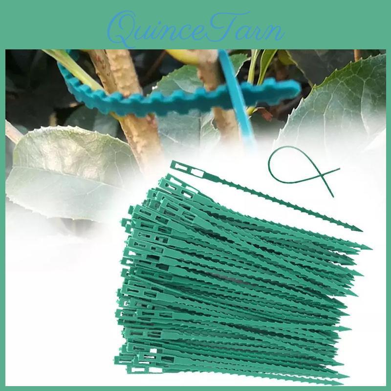 Plastic Plant Support 50100pcs Reusable Clips Clamps Plants Hanging Vine Garden