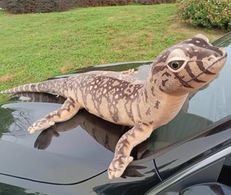 

[dokidoki] Lizard Cushion Plush Body Pillow Sleeping Pillow Lizard Animal Interior Reptile Amphibian Tokage Dinosaur Pet Brown