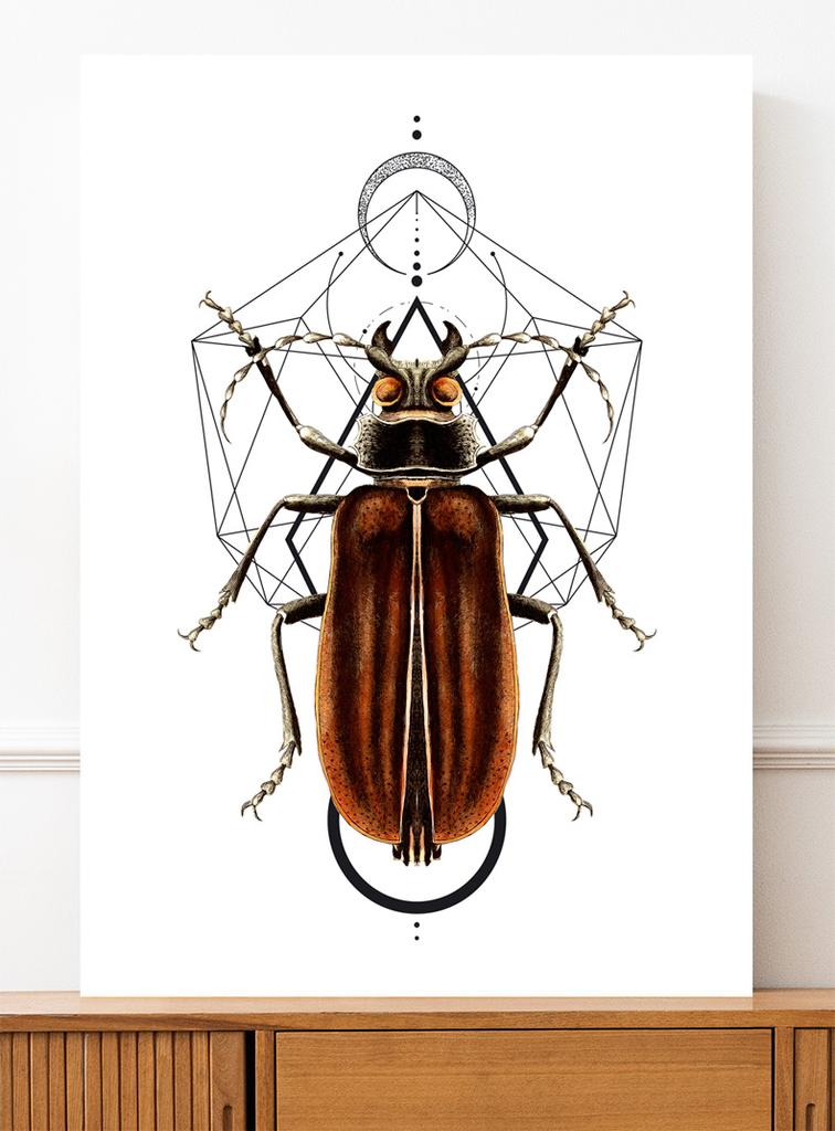 Affiche vers insectes géométrie