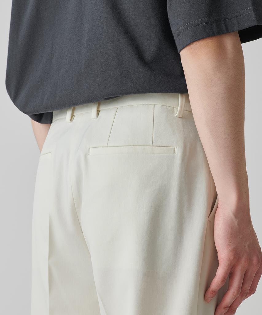 Musinsa Standard Reverse Two-Tuck Semi-Balloon Hidden Banding Slacks [Cream]