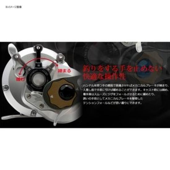 LIVRE 8173 206 Typ Czarny x Czarny Q.R.A