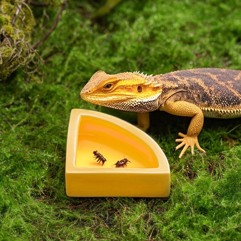 Haustierfutterzubehör Ausbruchsichere Mehlwurm-Aufbewahrungsbehälter Spezielle Futternäpfe für Reptilien Eidechsen Kriechtiere Futtertopf