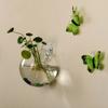 Plant Container Wall Mounted Vase Plants Holder Flower Arrangement Bottle  Plants Flowers