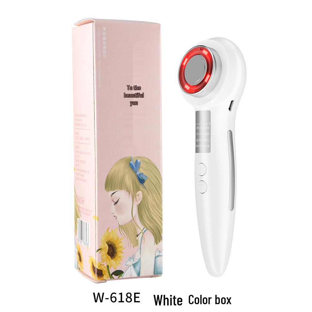 Ultrasonic Electronic Facial Beauty Device with Red & Blue Light Therapy