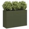 Pot, Olive, 120X40X80 Cm, Cold Rolled Steel