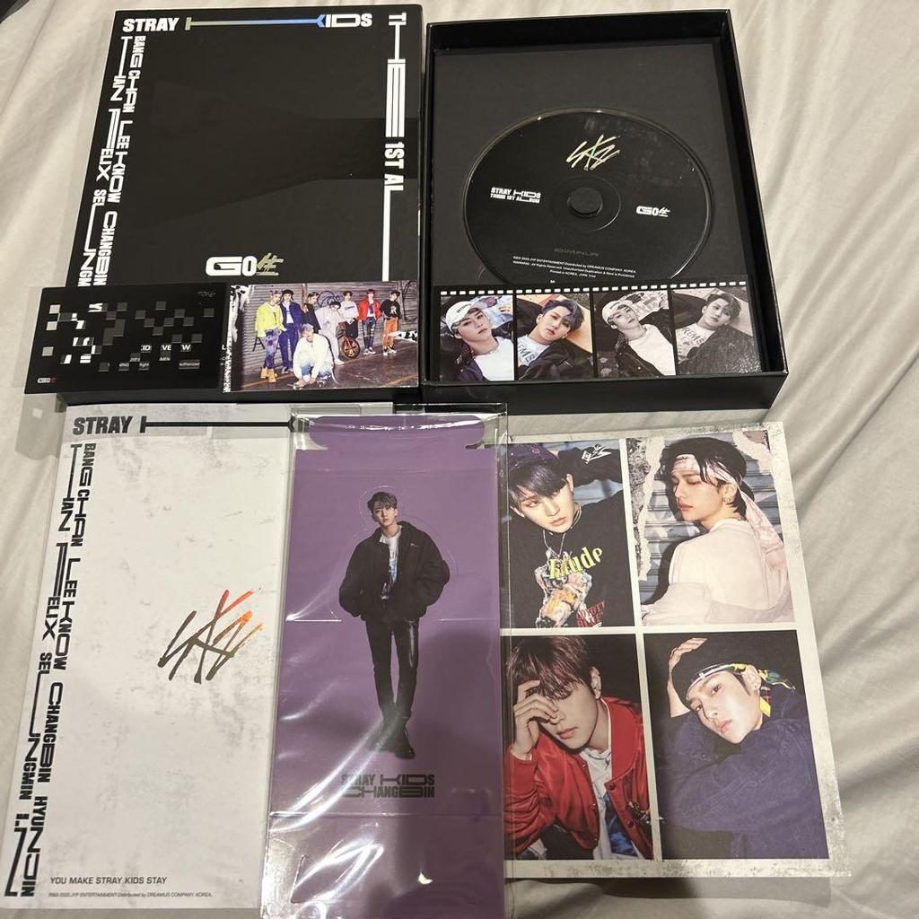 [USED] Straykids Go Raw
